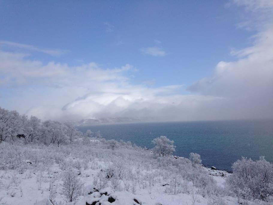 Вилла Fantastic View, Quiet And Relaxing By The Sea Kvaloya Экстерьер фото